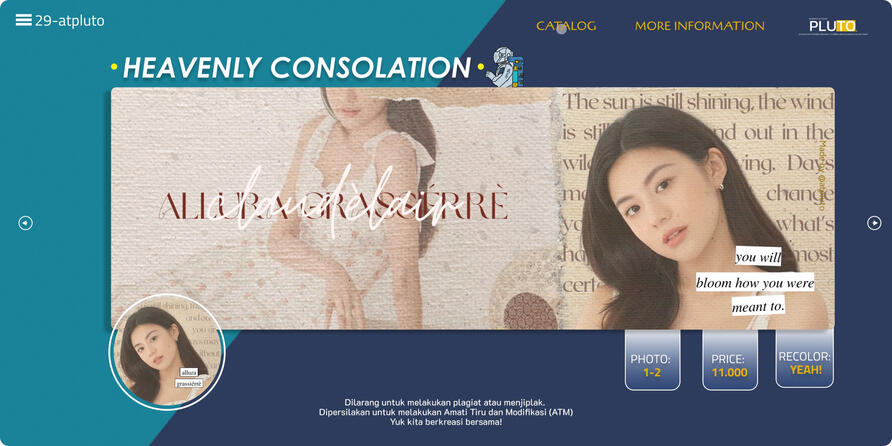 HEAVENLY CONSOLATION